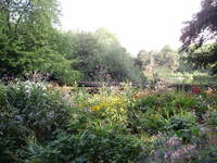 Elizabeth Lapthorne