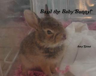 Basil the Baby Bunny!