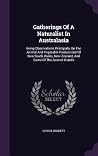 Gatherings Of A Naturalist In Australasia - Being Observations Principally On The Animal And Vegetable Productions Of New South Wales, New Zealand, And Some Of The Austral Islands