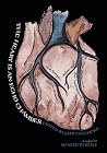 The Heart Is an Echo Chamber