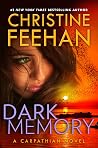 Dark Memory